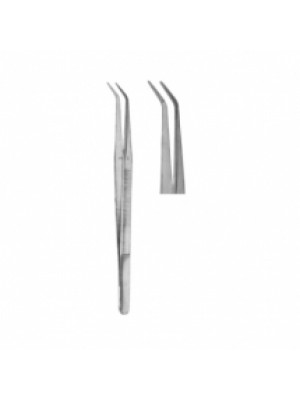 Dental Tweezers